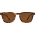 Tokyo Tortoise / Brown 12%