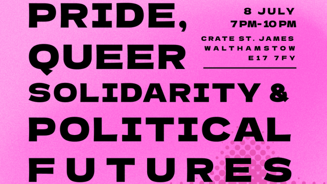 Panel Discussion:  Pride, Queer Solidarity, & Political Futures