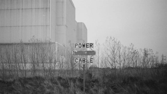 common host:  gathering the parasitic (un)natural