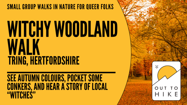Witchy+woodland+walk+%e2%80%93+Tring+