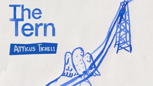 The Tern Single Release Show