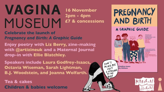 Pregnancy and Birth: A Graphic Guide Launch