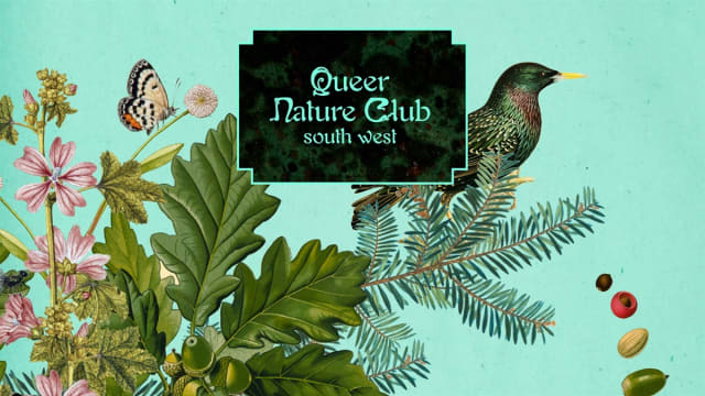 Queer+Nature+Club+X+East+Quay%3a+Midsummer+Meadow+Walk