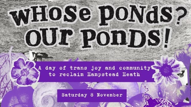 Whose Ponds? Our Ponds! A morning of trans joy and community on the Heath. 