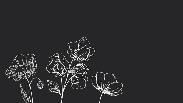 a night of words and mutual aid