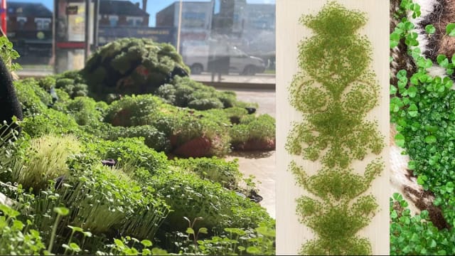 ARTISTS TALKS with Beverley Duckworth - FLP x SLQS Gallery