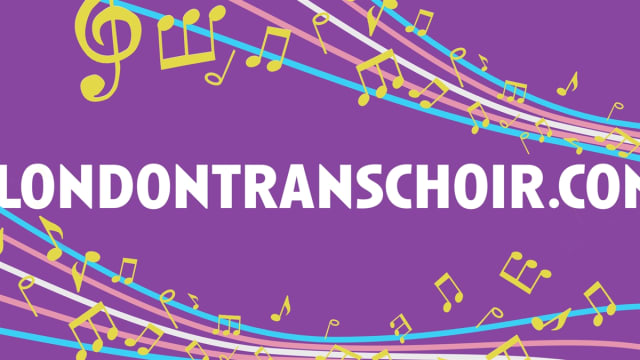 Trans voice teacher training 