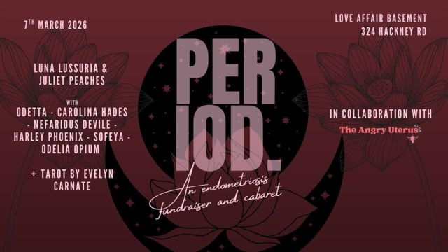 PERIOD. - A FLINTA* Cabaret Show to raise money for Endometriosis UK!