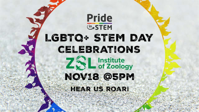 LGBTQ+STEM Day 2025 Talks & Celebrations