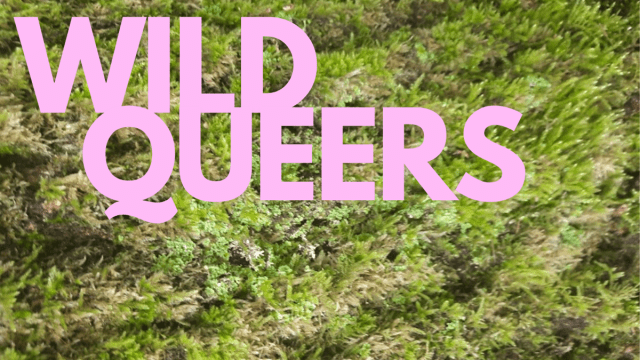 WILD QUEERS: Queer ecology walk/wheel