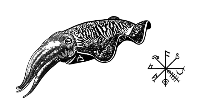 Rings+of+Septa%3a+Cuttlefish+Casting+Workshop+with+Smith+%26+Sun