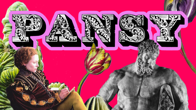 Pansy+at+Brightons+Bottoms+Rest+-+a+queer+club+night+for+lavender+menaces+and+shrinking+violets