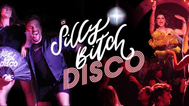 Silly Bitch Disco!
