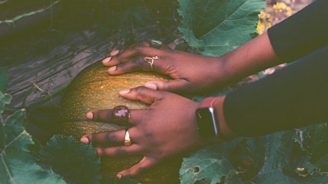 Poetry+is+not+A+Luxury+-+Open+Mic+Night+for+Black+Queers+%26+Queer+POC