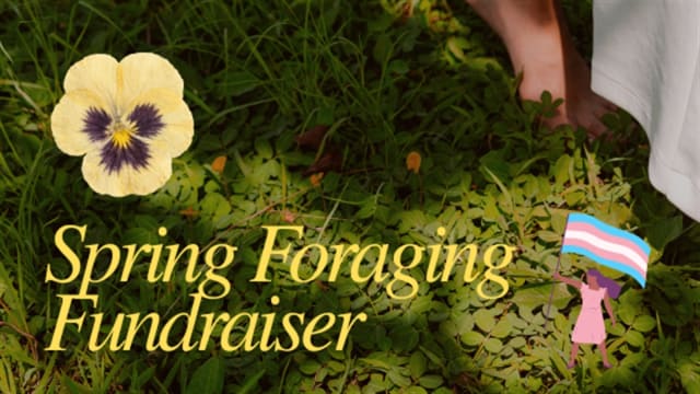 Spring Foraging Walk (Fundraiser)