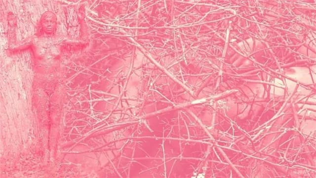 Gendered Environmentalities: Nature, Culture and Womanhood