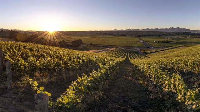 London: Magnum Club Dinner