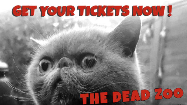 KNICKERS - MARCH EDITION