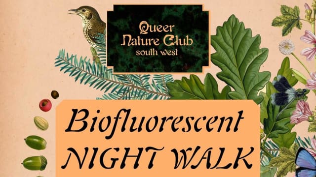 Biofluorescent+Night+Walk