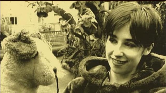 Belle & Sebastian Special at How Does It Feel To Be Loved?