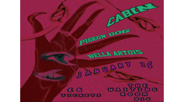 Cabin / Bella Artois / Pigeon Dog - Live at The Waiting Rooms