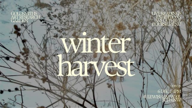 Winter Harvest