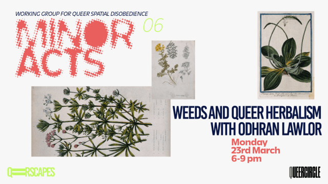 Weeds and queer herbalism: Multisensory walk & Blind Tea Tasting