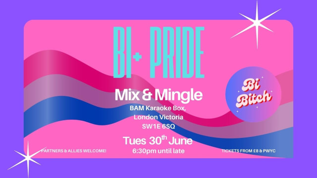 Bi+Bitch+Pride%3a+Bi%2b+Mix+%26+Mingle