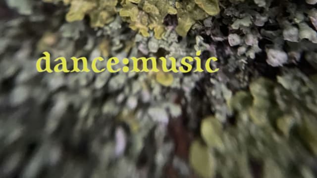 dance:music004 with niamh keady & xin