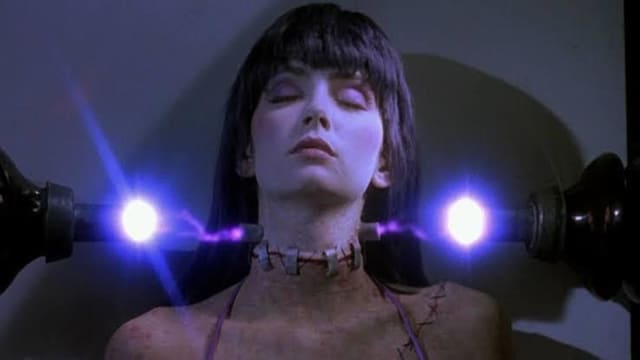 CAMP+CLASSICS+presents+FRANKENHOOKER+at+The+Divine