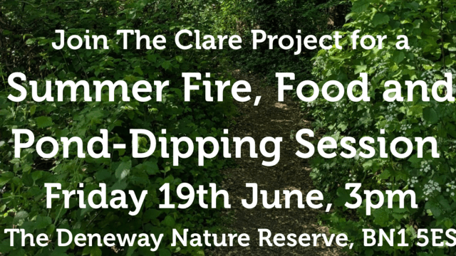 Summer+Fire%2c+Food+and+Pond-Dipping+with+The+Clare+Project