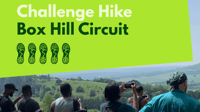 Challenge+Hike+-+Box+Hill+Circuit