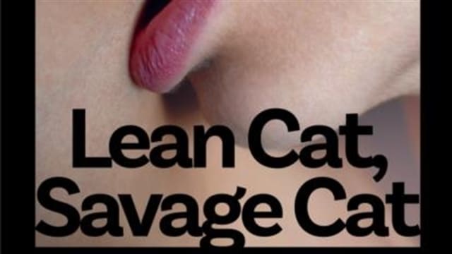 Book+Launch+-+Lean+Cat%2c+Savage+Cat+by+Lauren+J.+Joseph