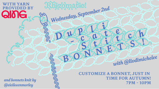 Duplicate Stitch Bonnet Workshop!