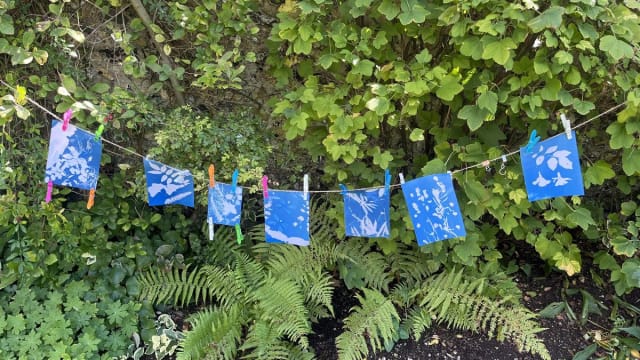 Explore+Cyanotype+Printing+at+The+Grange