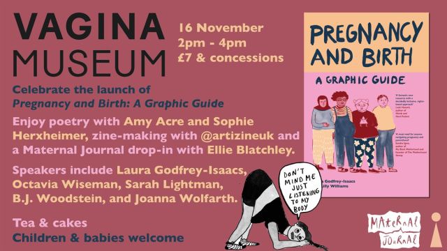 Pregnancy and Birth: A Graphic Guide Launch