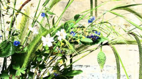 Foraged Flower Arranging  tickets