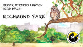 Queer Bird Walk tickets