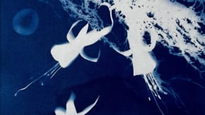 Cyanotype at Christmas at Springbank Studio tickets