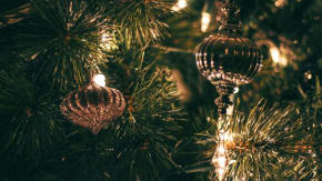 Christmas Social tickets