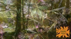Monthly Myth Workshop: September tickets