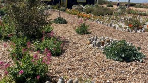 Book Launch - Q is for Garden tickets