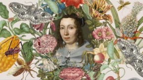 MARIA SYBILLA MERIAN: Art, Metamorphosis and the Birth of Ecological Thinking  tickets