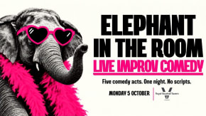 ELEPHANT IN THE ROOM  tickets