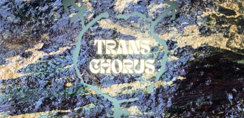 Trans Chorus - Autumn Fire Song Circle