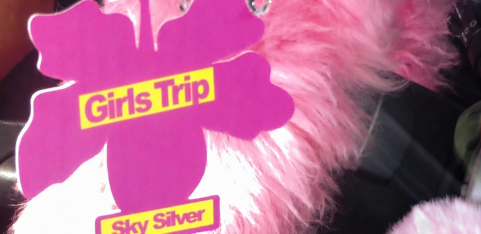 The Girls Trip