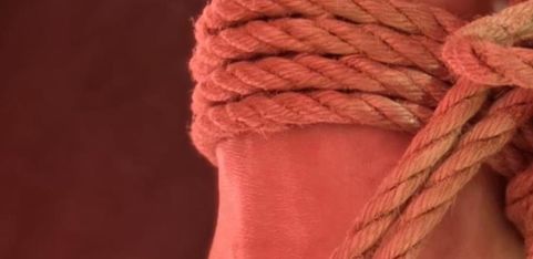 Spicy Rope 101 with Sophia Rose