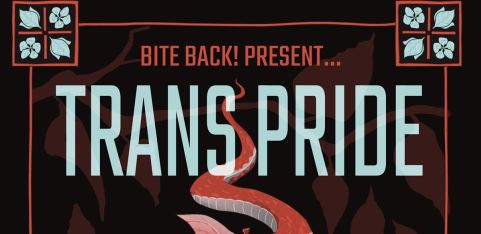 TRANS PRIDE SHOWCASE