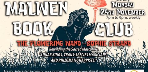 Malwen Book Club - The Flowering Wand