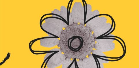 Tips and info for prospective co-parents